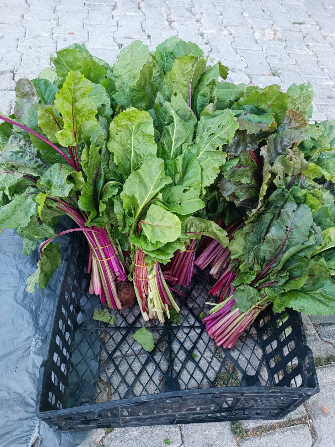 Konya’nın yüzde 100 yerli pazarı 2